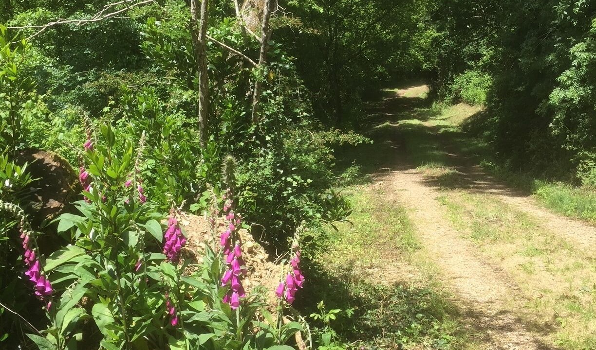 Photo of Outdoor in Poiroux