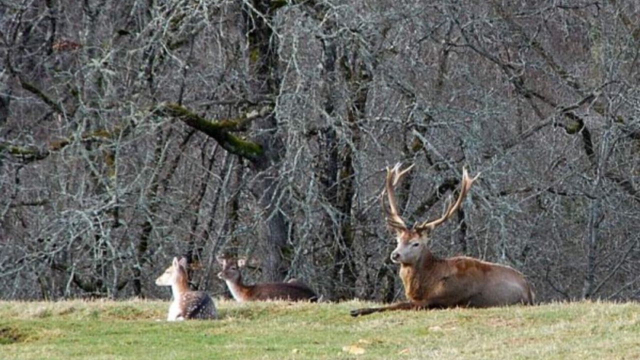 Photo of Outdoor in Villefranche-du-Perigord