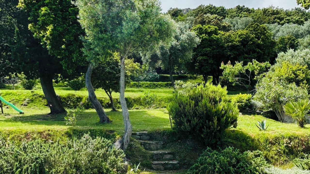 Photo of Outdoor in Brando
