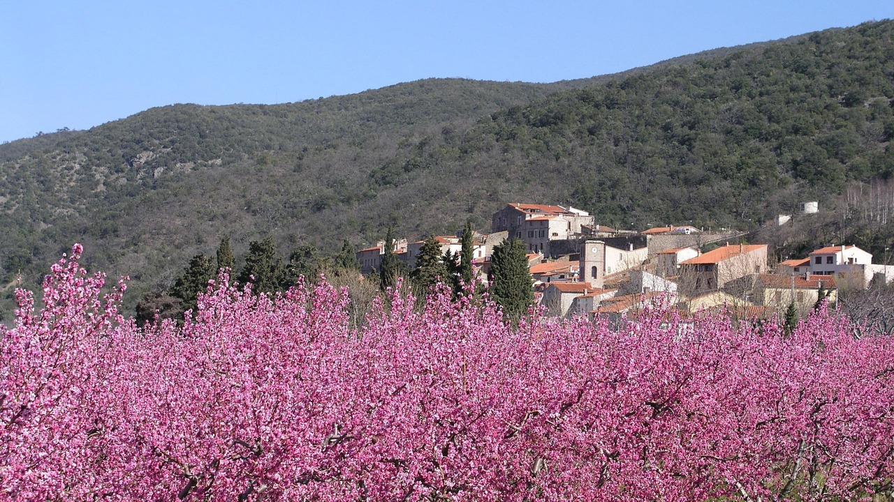 Photo of Outdoor in Prunet-et-Belpuig
