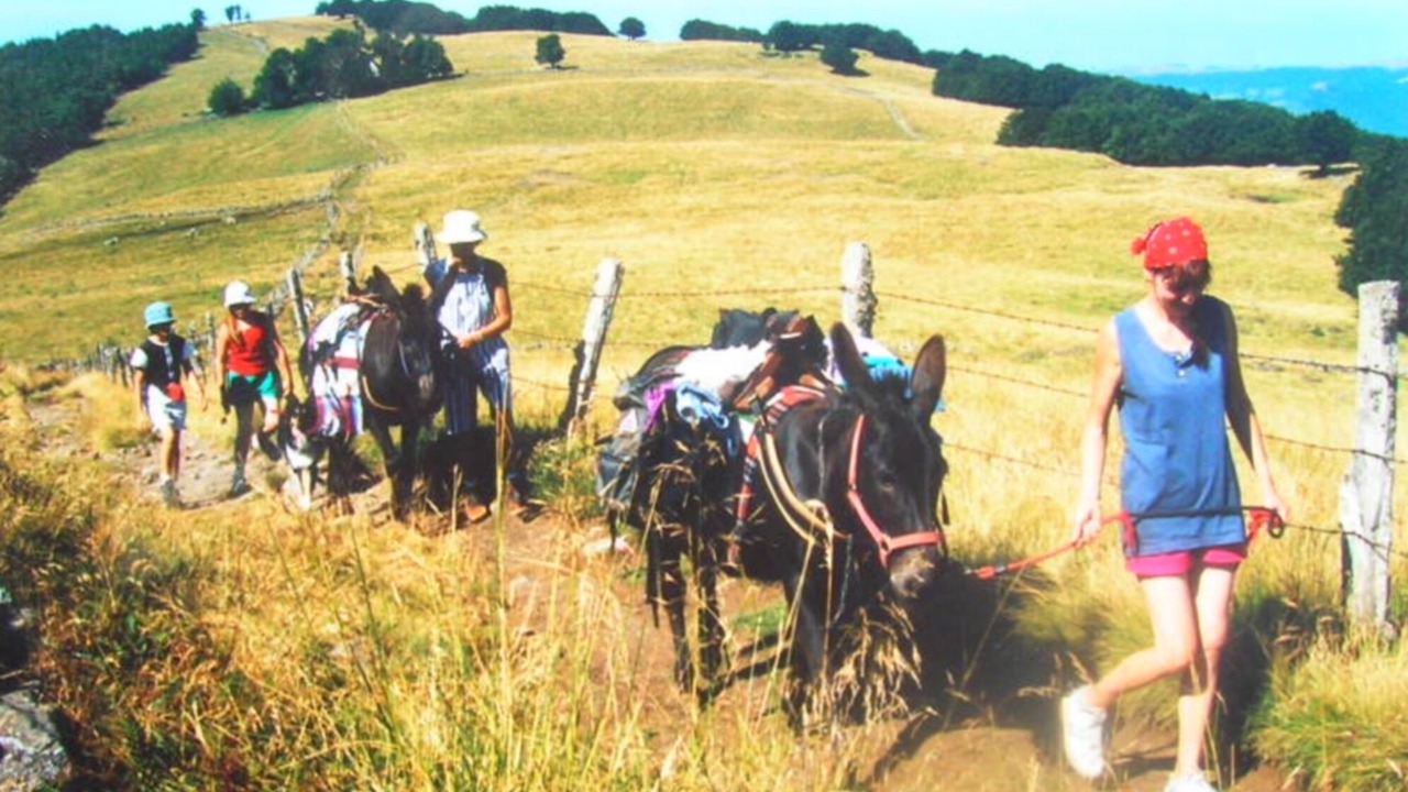 Photo of Others in Jou-sous-Monjou