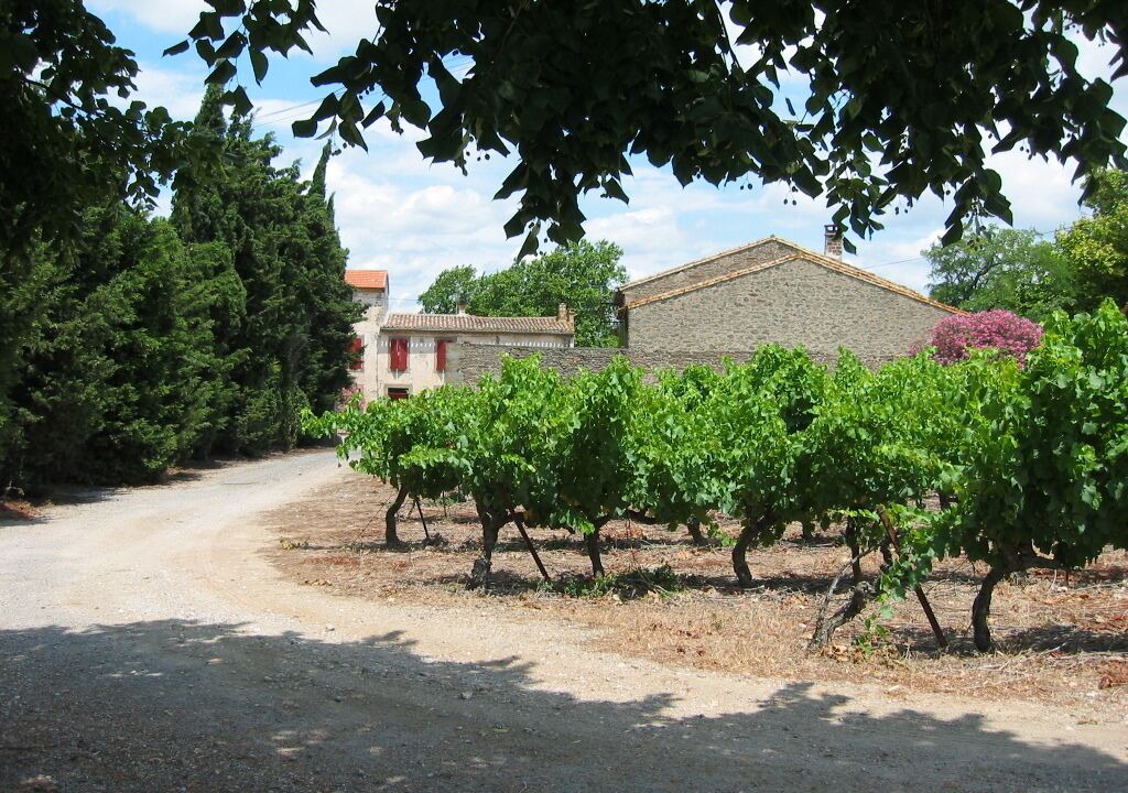 Photo of Others in Douzens