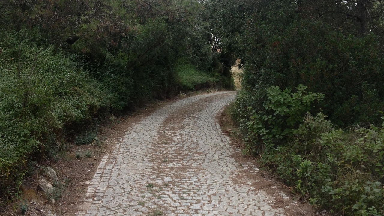 Photo of Outdoor in Fabregues