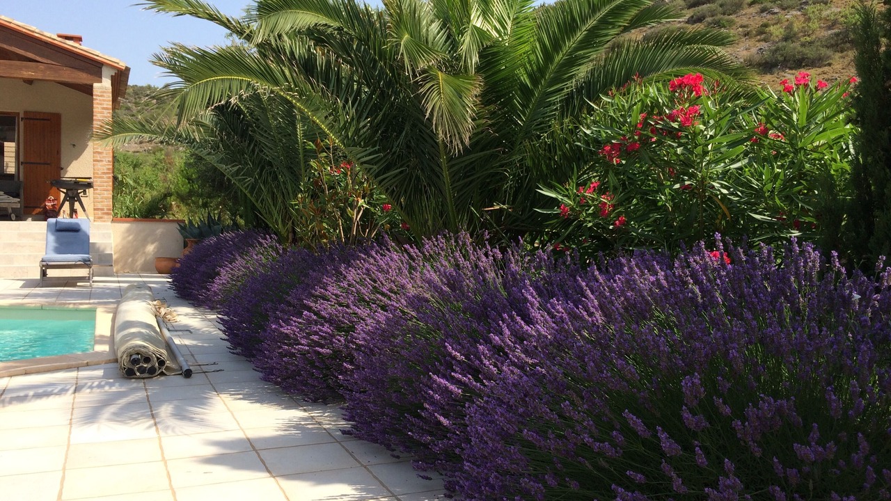 Photo of Outdoor in Fitou