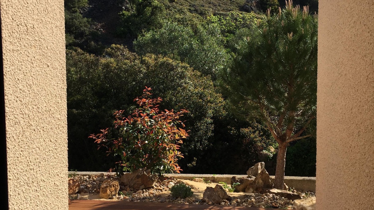 Photo of Others in Fitou