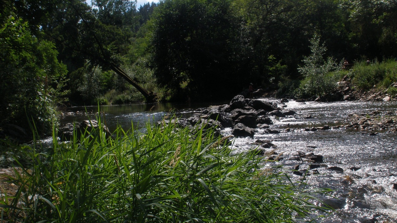 Photo of Outdoor in Saint-Etienne-sur-Blesle
