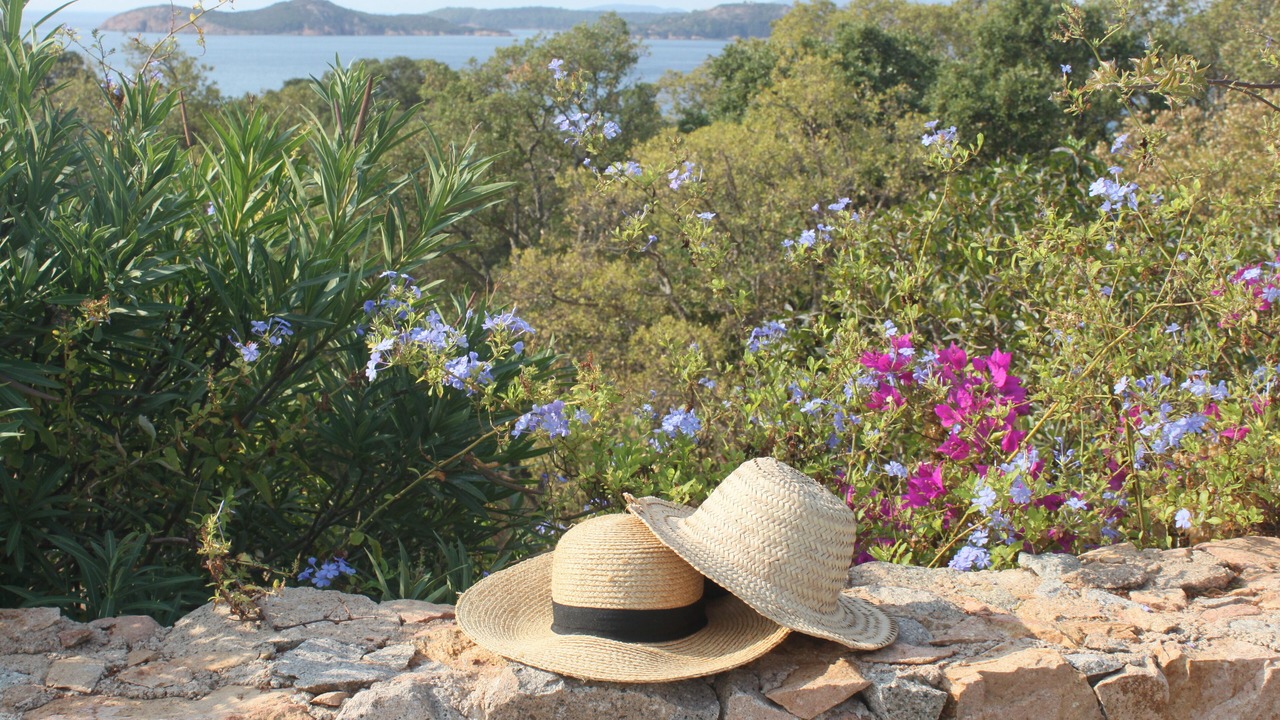 Photo of Outdoor in Pinarellu