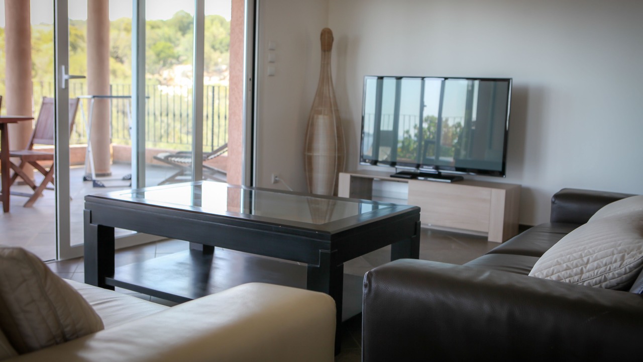 Photo of Livingroom in Olmeto