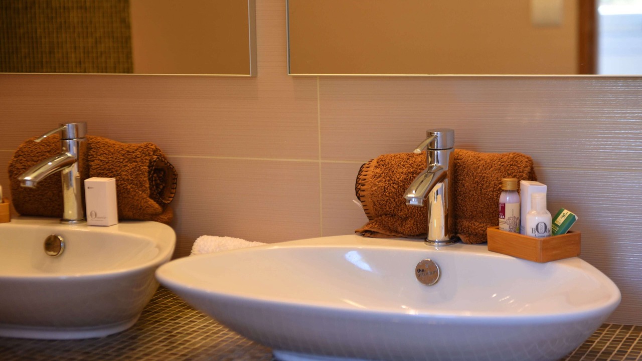 Photo of Bathroom in Olmeto