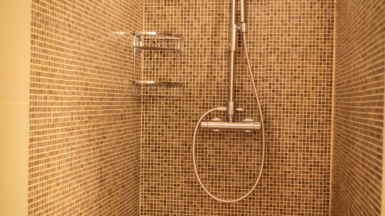 Photo of Bathroom in Olmeto