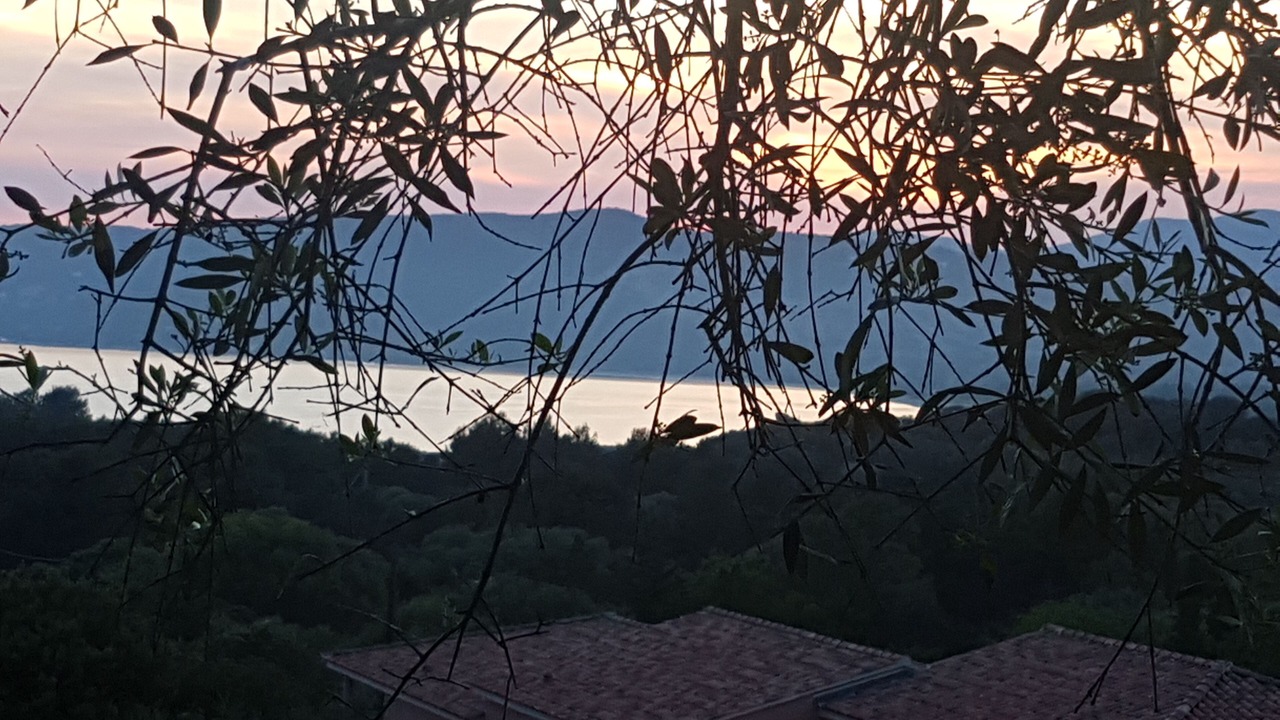 Photo of Outdoor in Olmeto