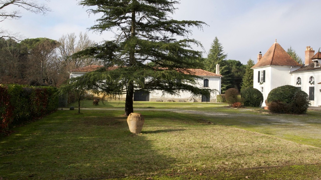 Photo of Outdoor in Aureilhan
