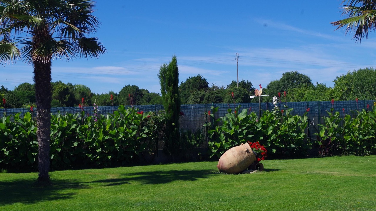 Photo of Outdoor in Saint-Pierre-d'Oleron