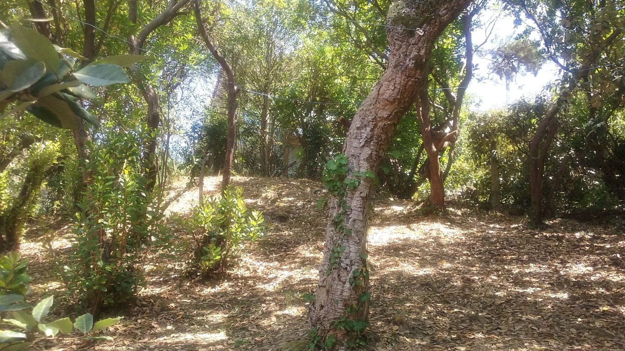 Photo of Outdoor in Les Estagnots