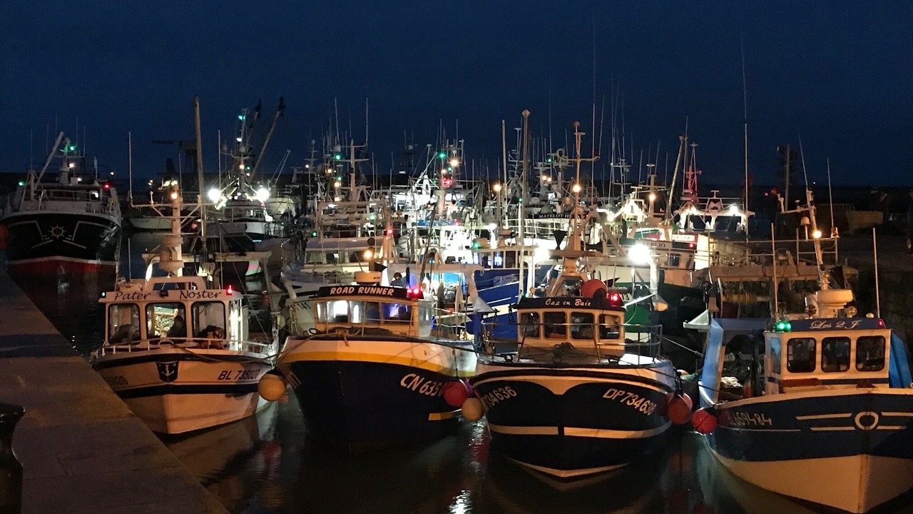 Photo of Others in Port-en-Bessin-Huppain