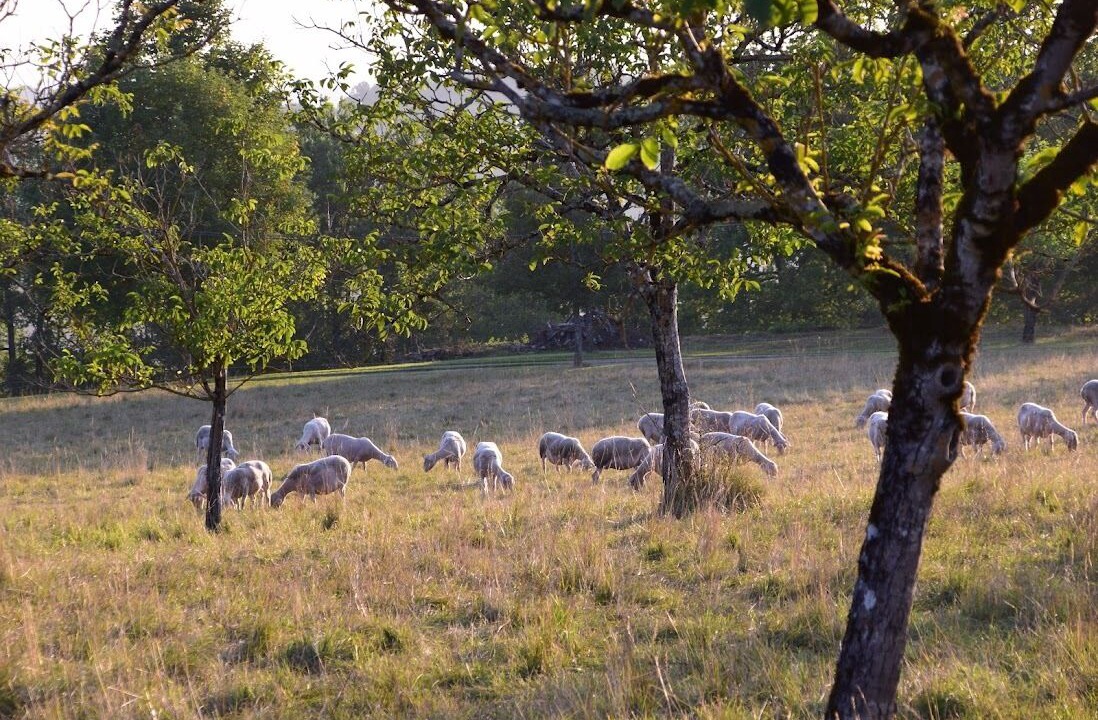 Photo of Outdoor in Florimont-Gaumier