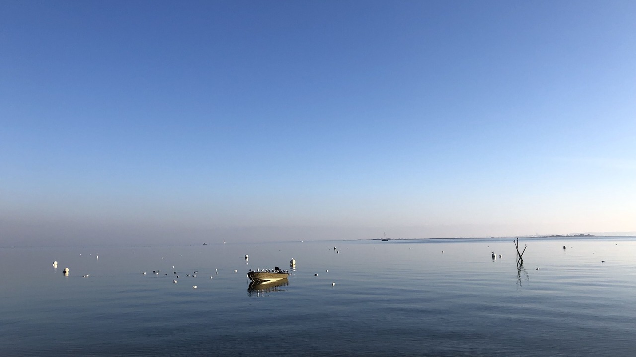 Photo of Others in Arcachon