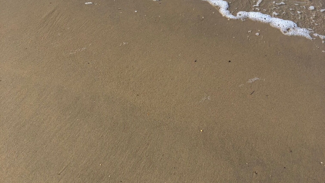 Photo of Others in Arcachon