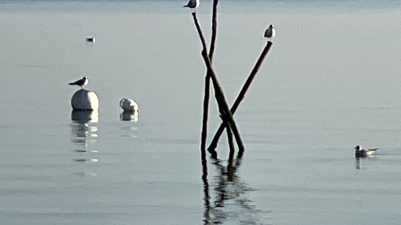 Photo of Outdoor in Arcachon