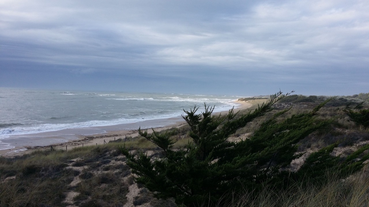 Photo of Others in Saint-Georges-d'Oleron