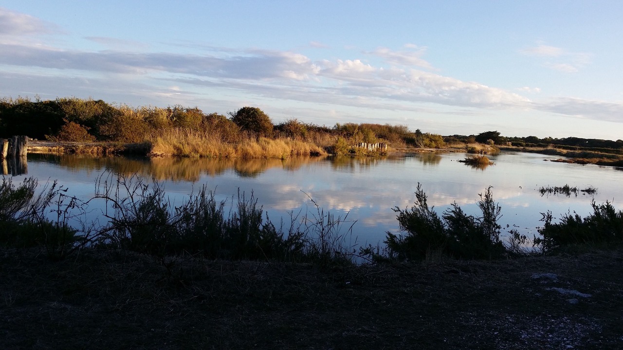 Photo of Outdoor in Saint-Georges-d'Oleron