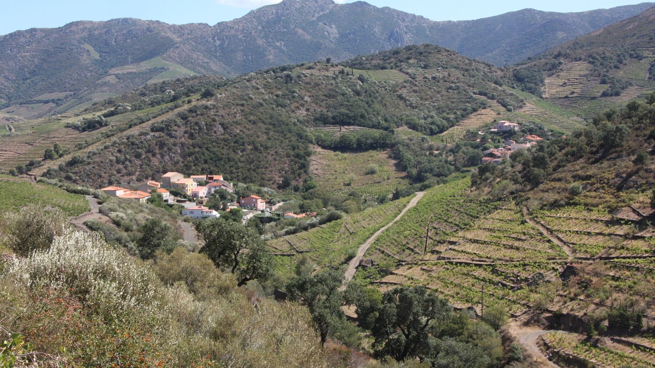 Photo of Others in Banyuls-sur-Mer
