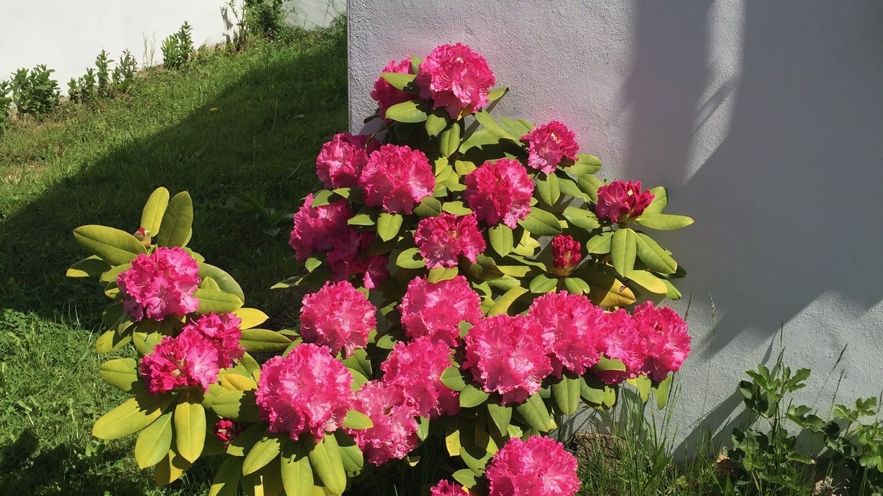 Photo of Outdoor in Ile d'Yeu