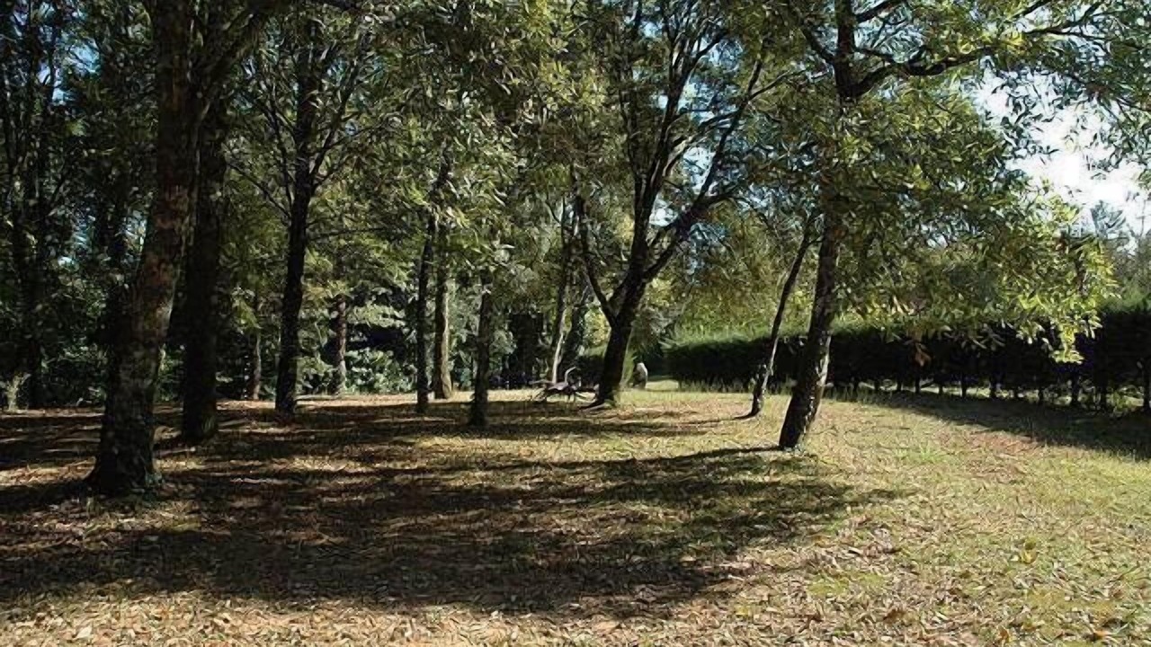 Photo of Outdoor in Prats-de-Carlux