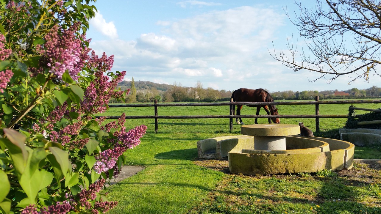 Photo of Outdoor in Vieux-Pont-en-Auge