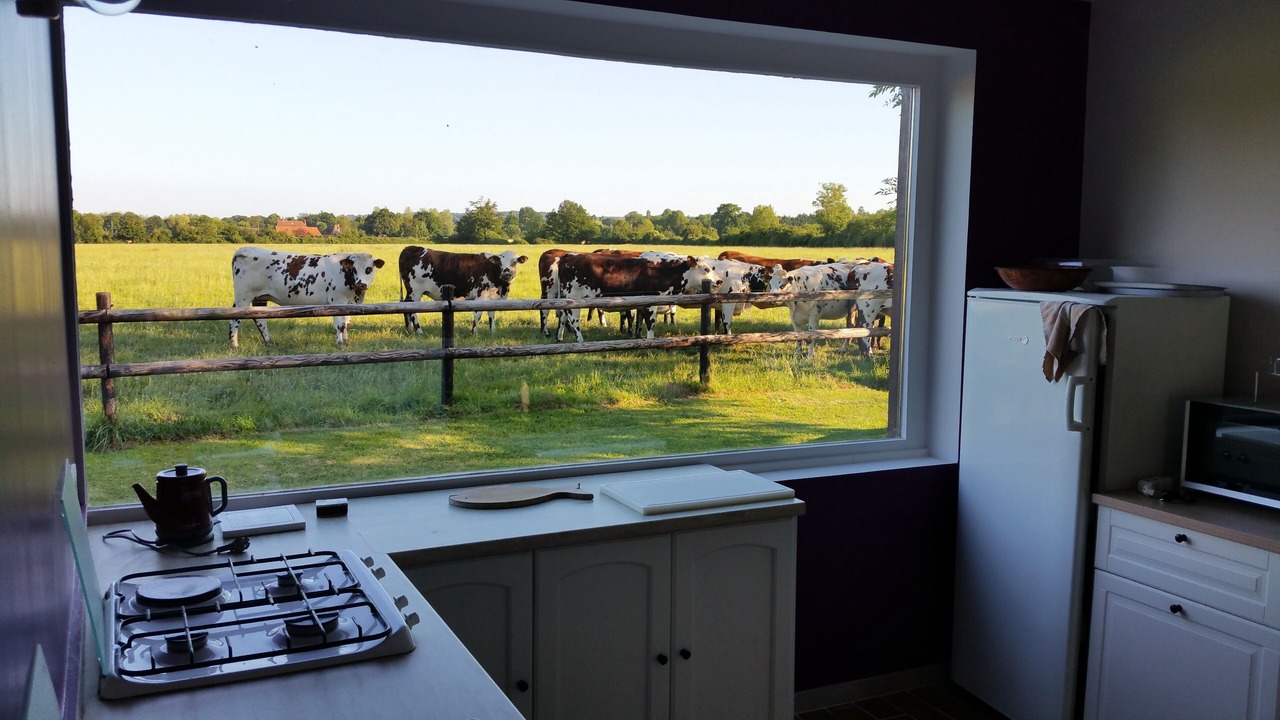 Photo of Kitchen in Vieux-Pont-en-Auge