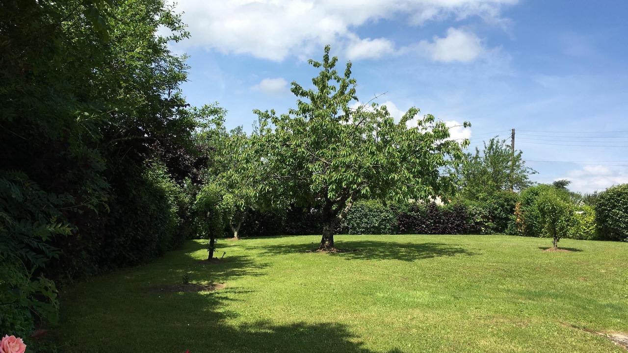 Photo of Outdoor in Saint-Michel-le-Cloucq