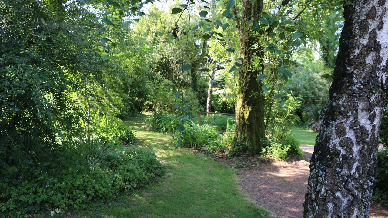 Photo of Outdoor in Cheffois