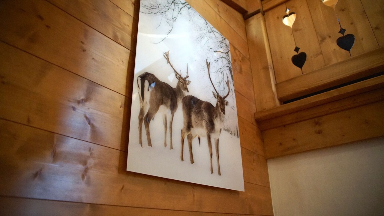 Photo of Others in Megeve