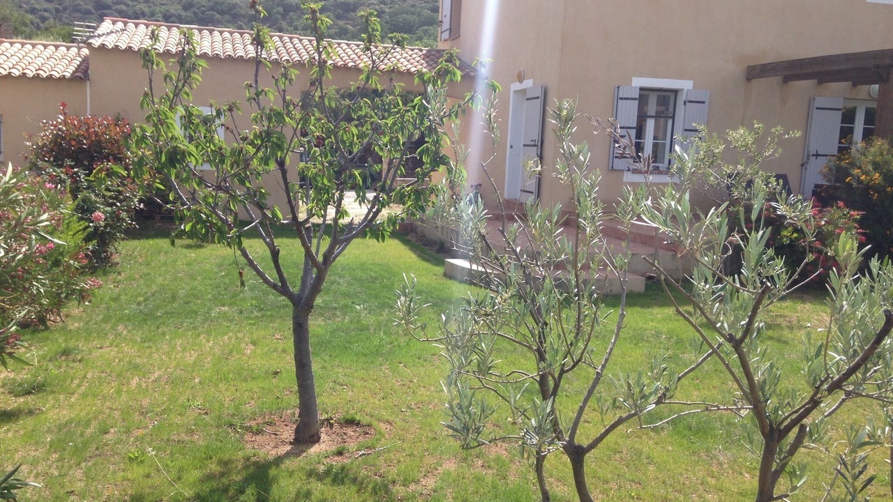 Photo of Outdoor in Aregno