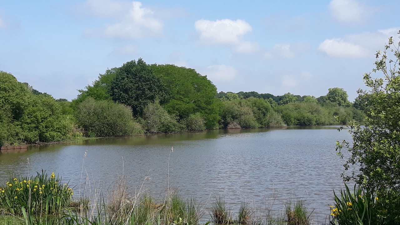 Photo of Outdoor in Labenne