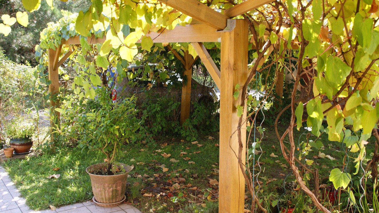 Photo of Outdoor in Labenne