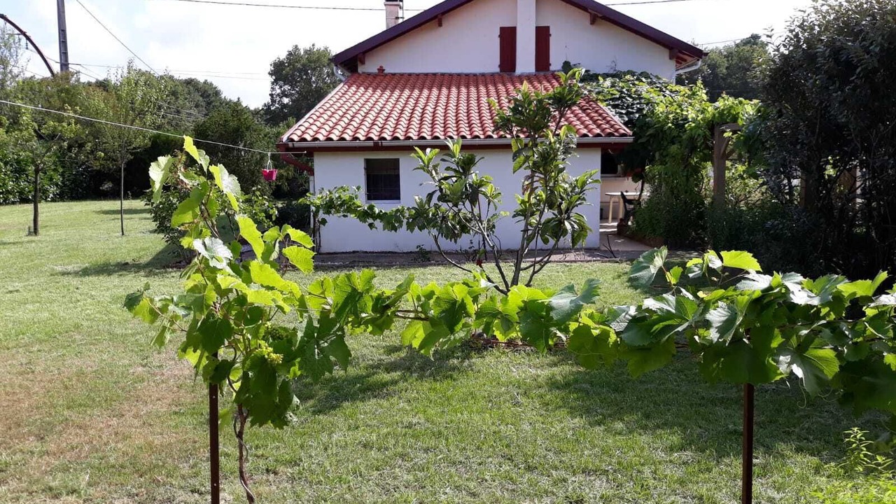 Photo of Outdoor in Labenne