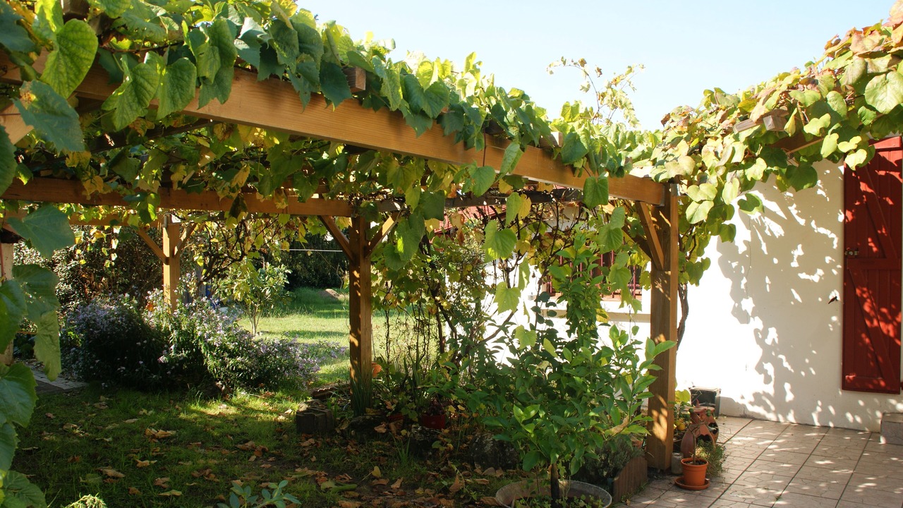 Photo of Outdoor in Labenne