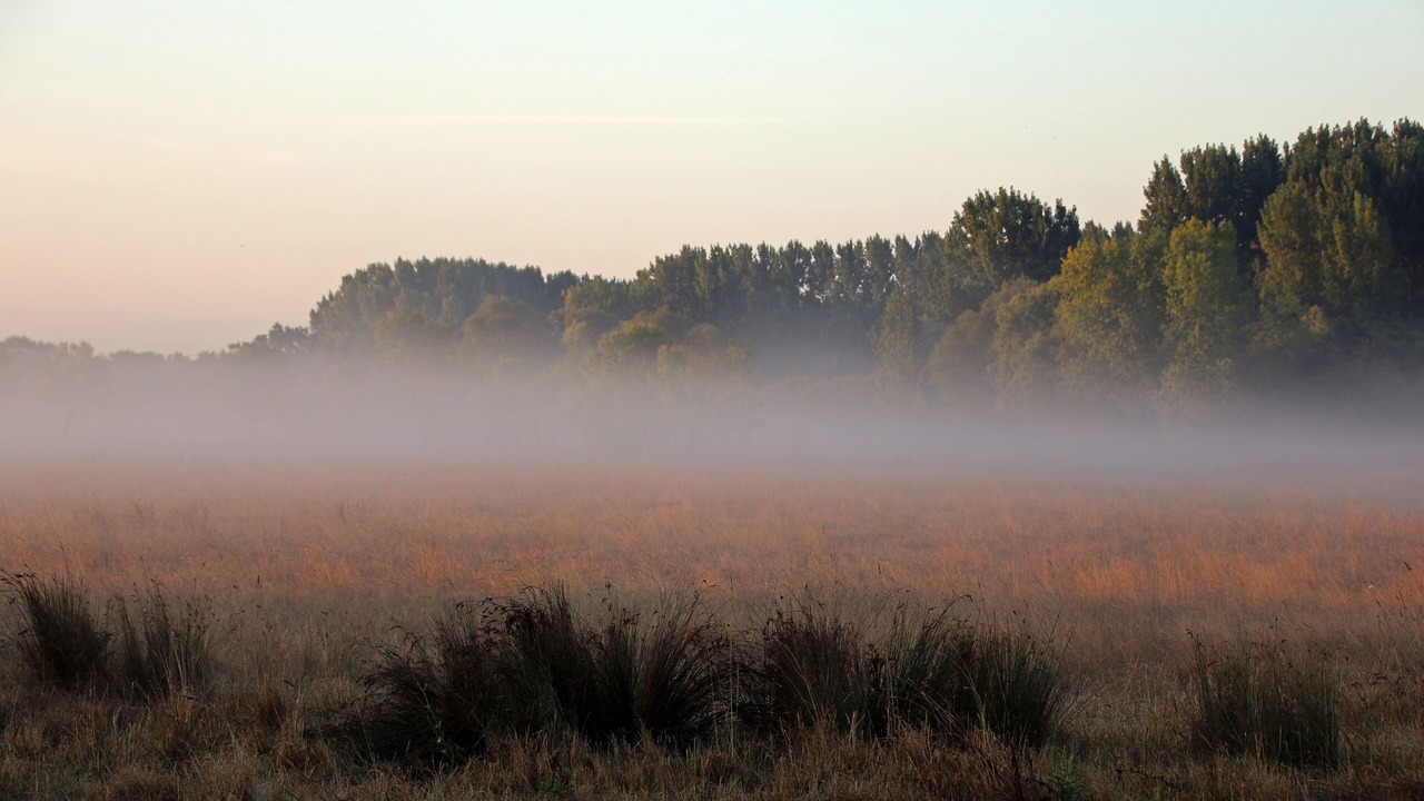 Photo of Outdoor in Saint-Hilaire-de-Riez