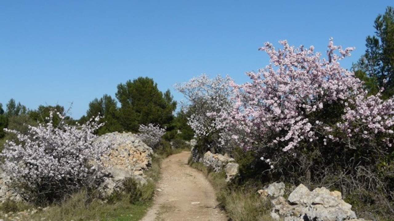 Photo of Outdoor in Lezignan-Corbieres