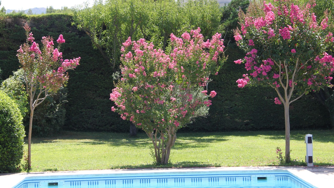 Photo of Others in Eygalieres