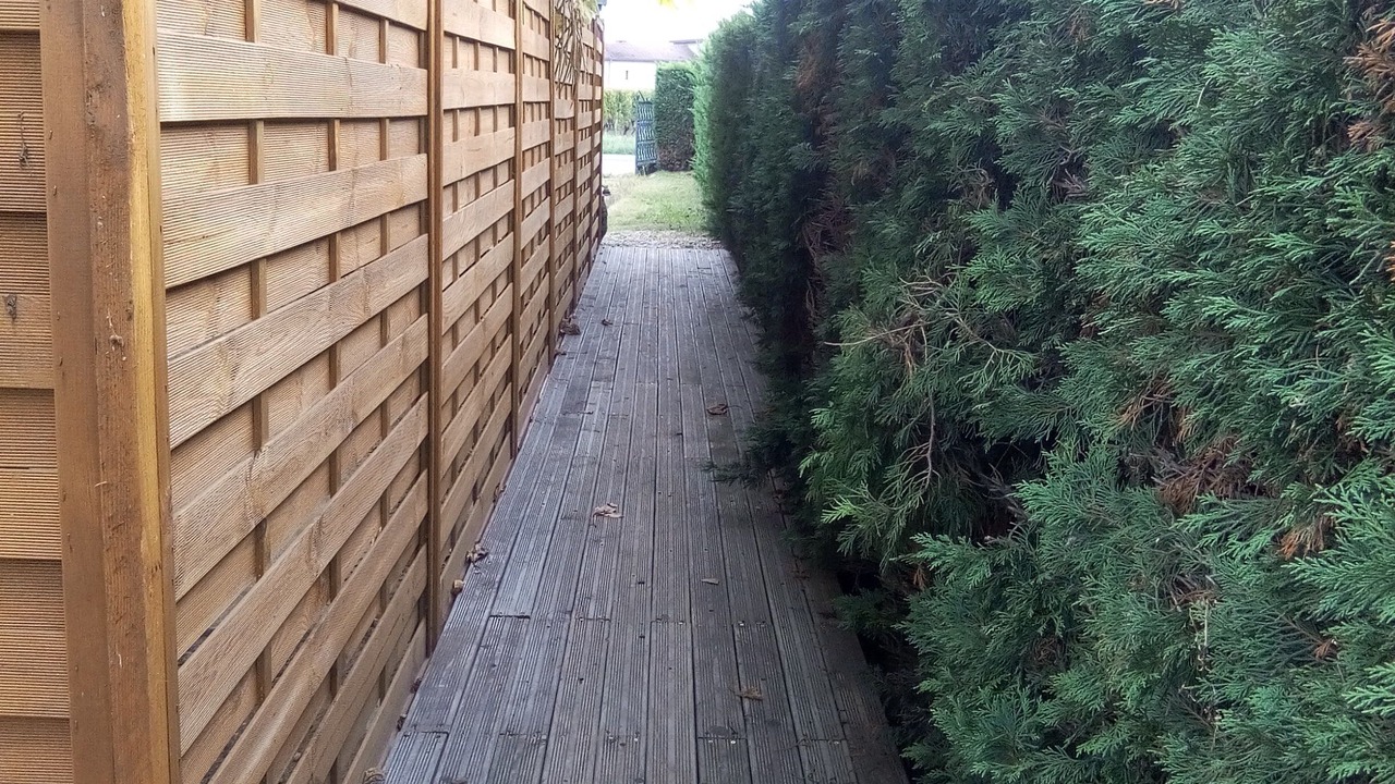 Photo of Outdoor in Saint-Sulpice-de-Faleyrens