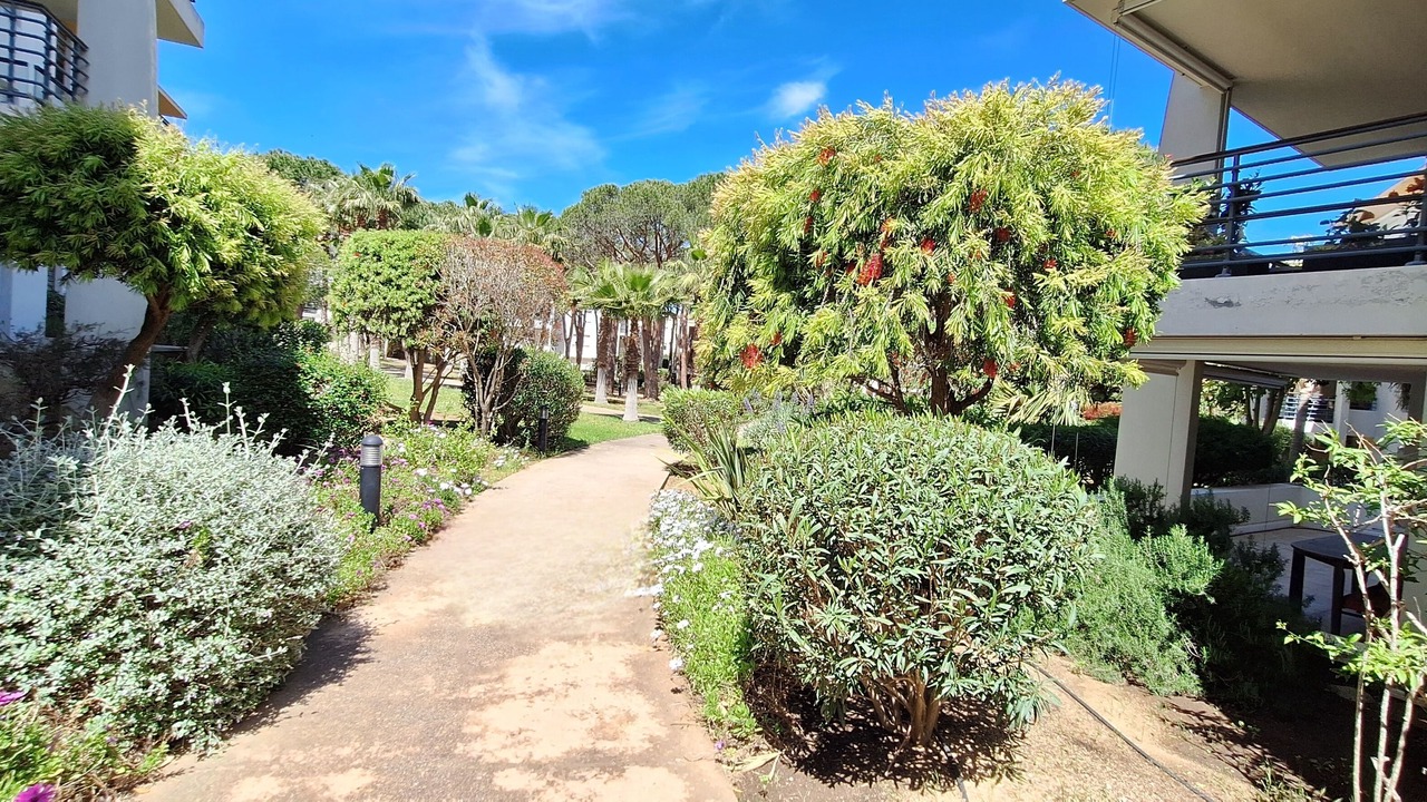 Photo of Outdoor in Calvi