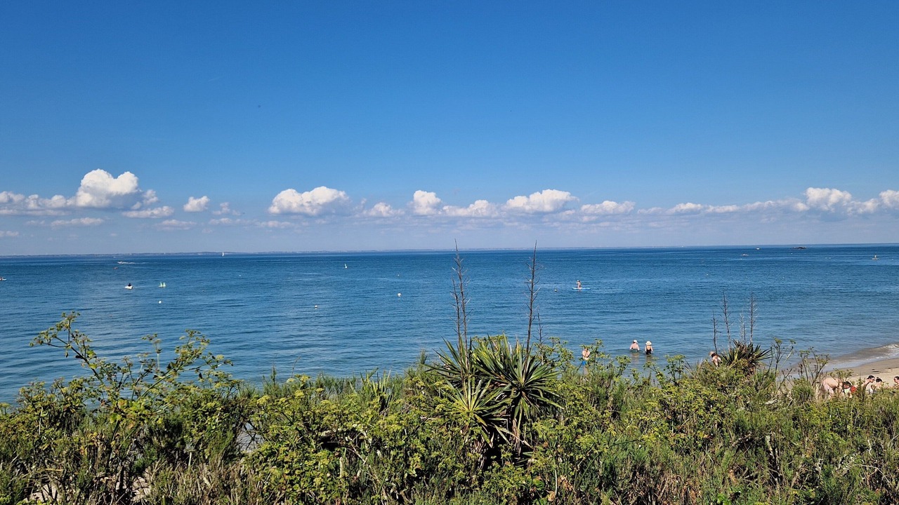 Photo of Others in Noirmoutier-en-l'Ile