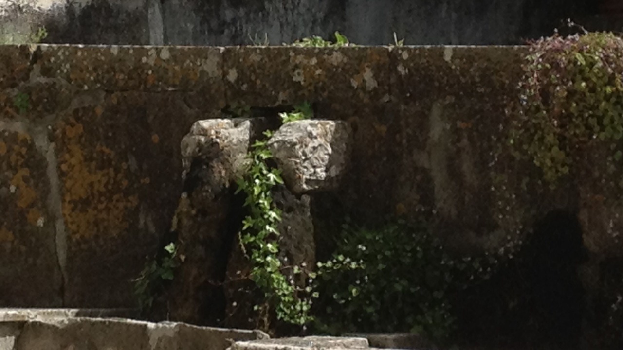 Photo of Outdoor in Brignoles
