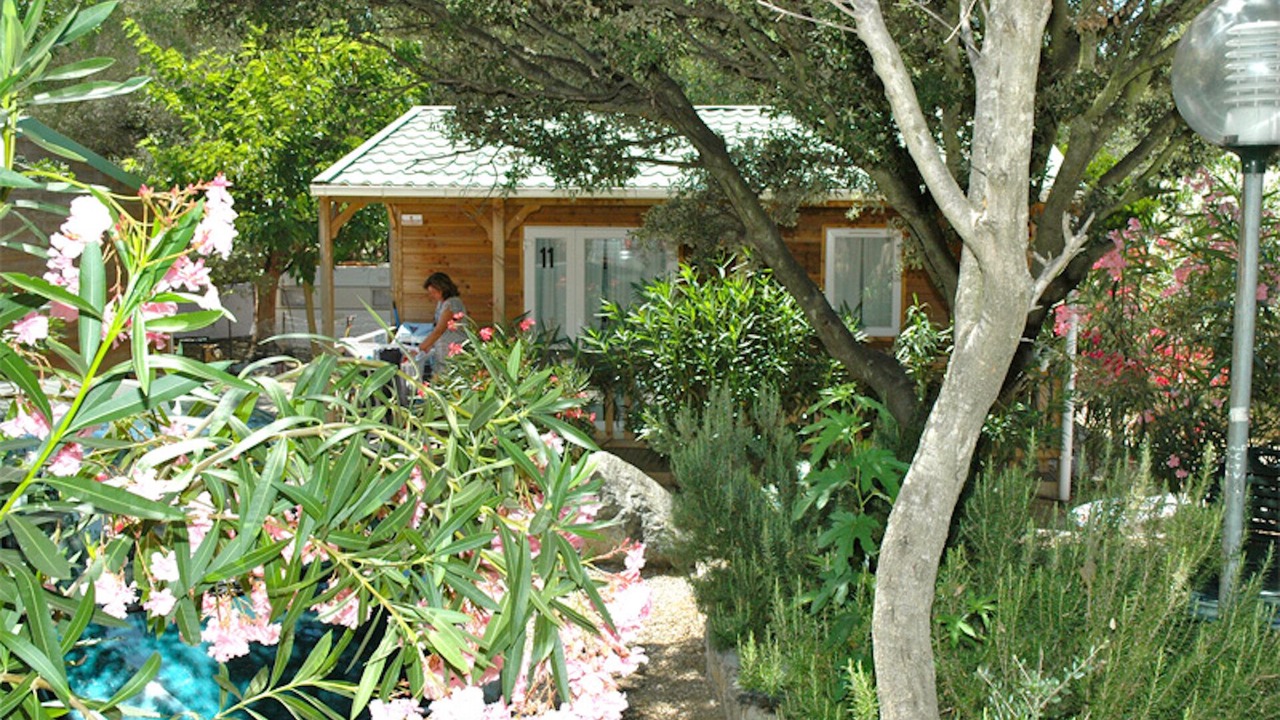 Photo of Outdoor in Aregno