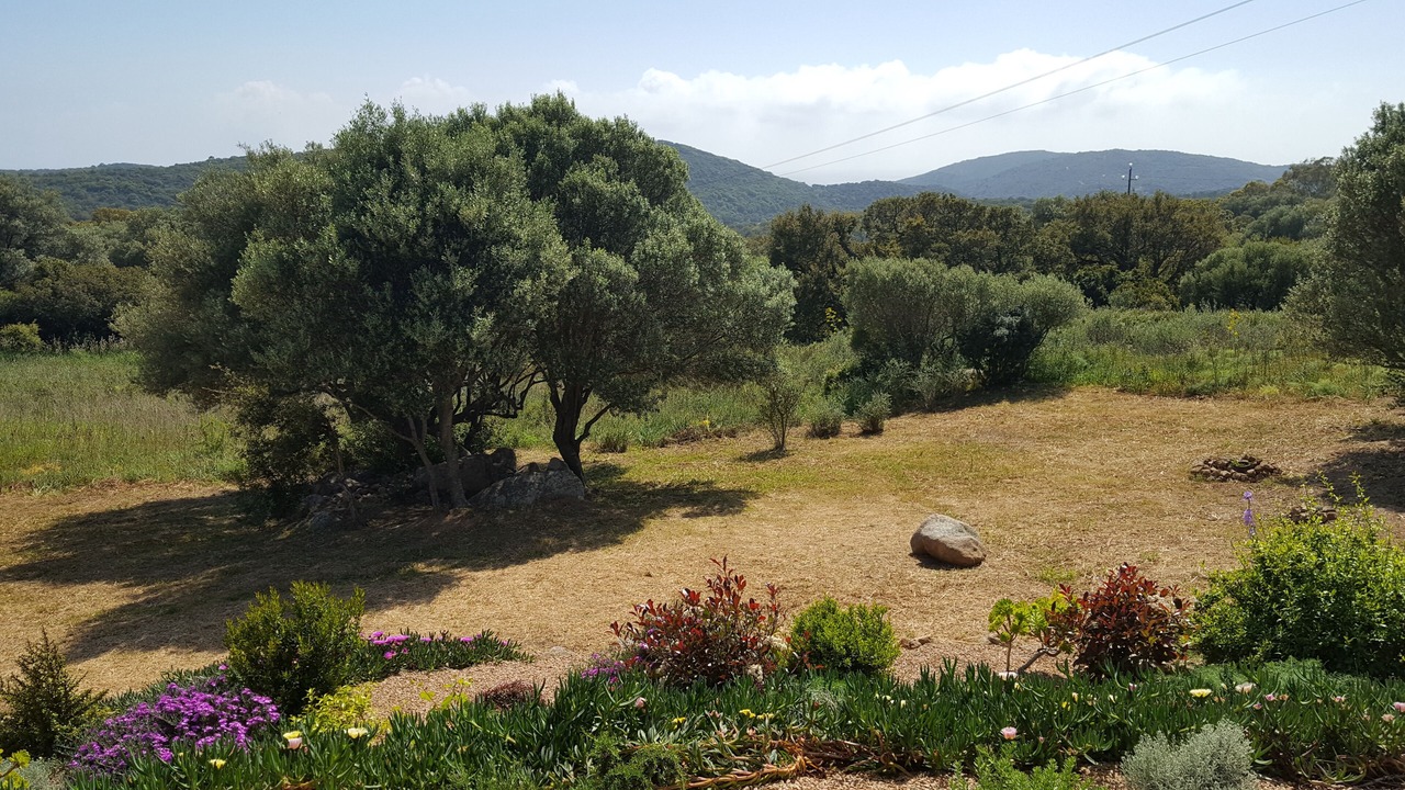 Photo of Outdoor in Monacia-d'Aullene