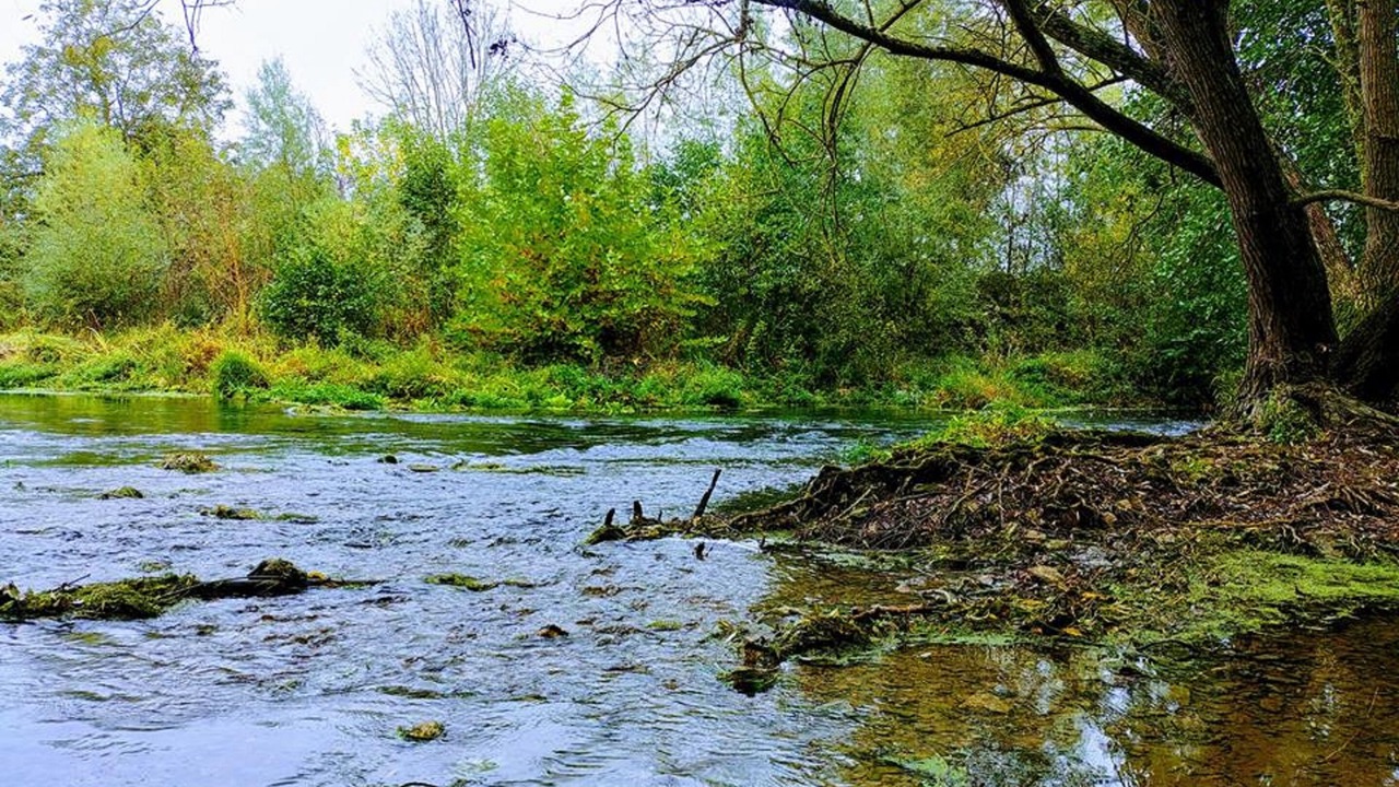 Photo of Outdoor in Beaumont