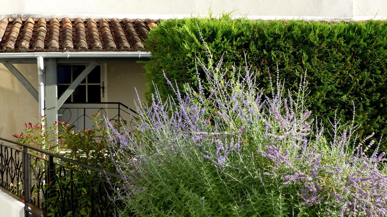 Photo of Outdoor in Aubeterre-sur-Dronne