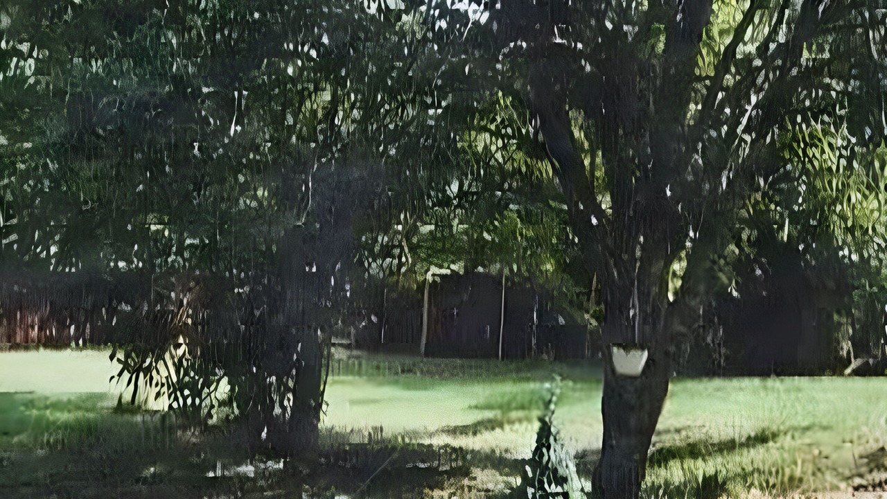 Photo of Outdoor in Saint-Andre-dAllas